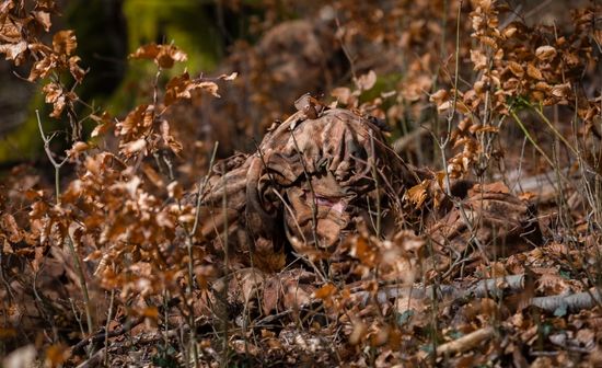 REVERSIBLE CAMO SUIT AUTUMN